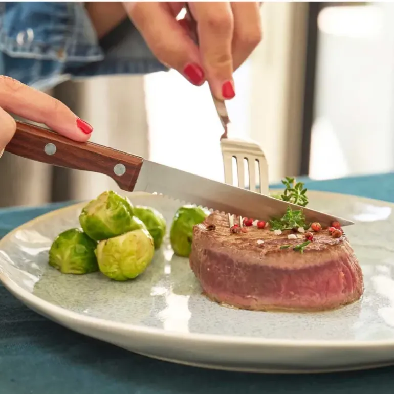 6 Couteaux Steak Inox 3cr14 22cm Lame Dentelée Effet Bois