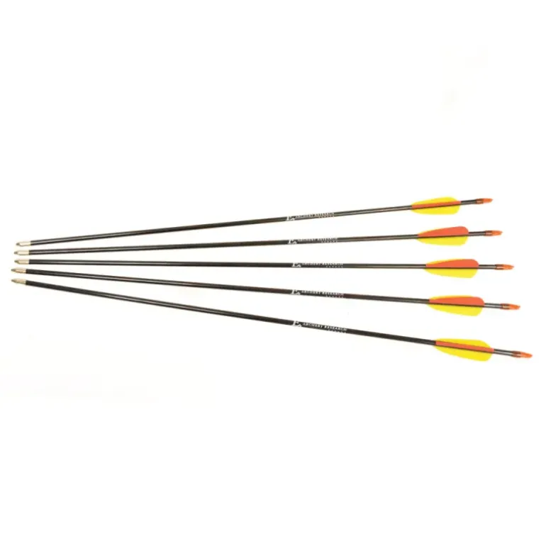 5 flèches 26" pour tous types d'arcs fibre de verre HQ 68cm