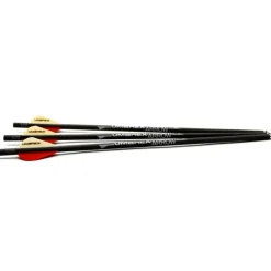 6 Flèches Airjavelin pointe field tip fibre de carbone 37,8cm