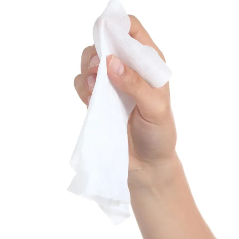 10 Lingettes magiques biodégradables