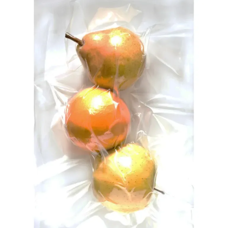 50 Sachets sous vide alimentaires 20 x 30 cm