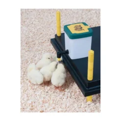 Abreuvoir à pipette poussins et cailles 0,5 L Olba