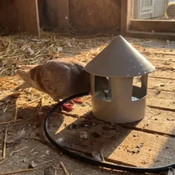 Abreuvoir automatique à grit pour pigeon Diam. 22
