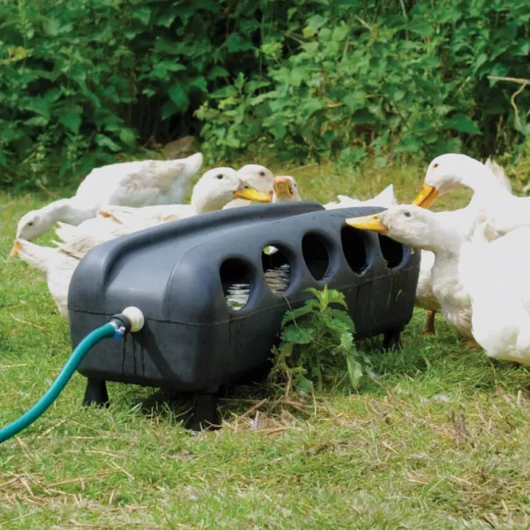 Abreuvoir automatique canards et oies 75 X 25 X 27 cm