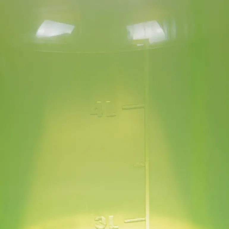 Abreuvoir gradué sur pied avec poignée vert 10L