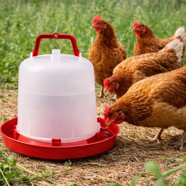 Abreuvoir plastique poule premium robuste avec poignée 10 L