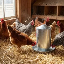 Abreuvoir Poules à Double Paroi en Tôle Galvanisée de 4 L