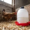 Abreuvoir poules et volailles 15 L River System