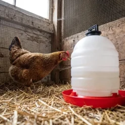 Abreuvoir poules et volailles 15 L River System
