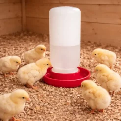 Abreuvoir siphoïde poussins et cailles 1 L fermeture à vis