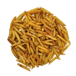 Alimentation volailles Larves soufflées 1 Litre Hermetia Illucens
