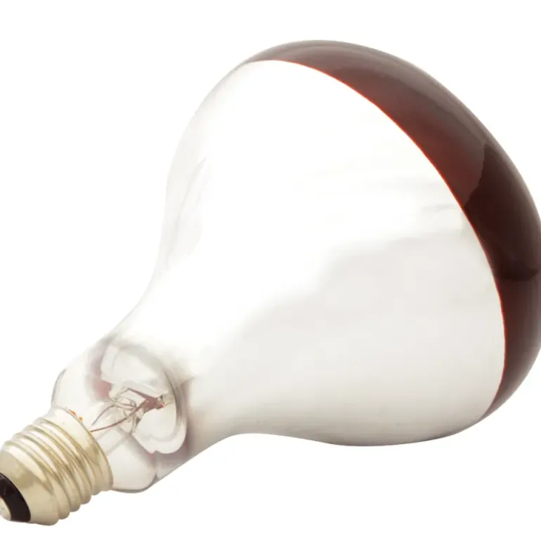 Ampoule chauffante infrarouge 150 W