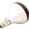 Ampoule infrarouge pour éleveuse 60 W