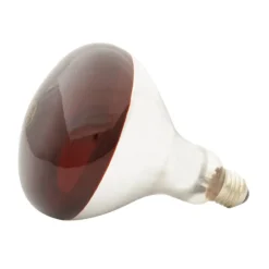 Ampoule infrarouge pour éleveuse 60 W