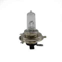 Ampoule Pour Torche 15 Millions Lux