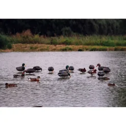 Appelant colvert femelle cou droit sur pied en acier