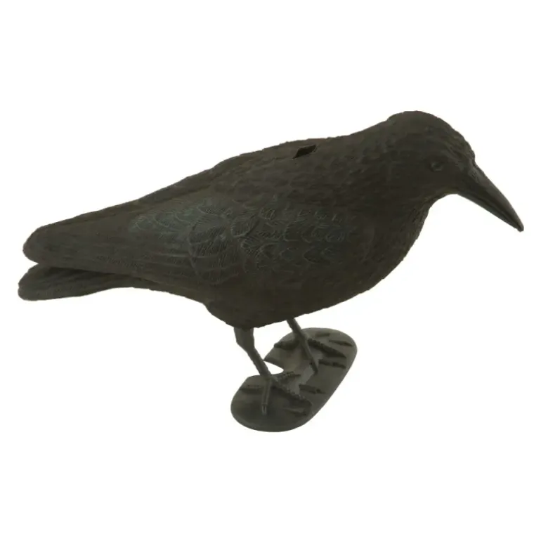Appelant corbeau 40 x 13 x 18cm (avec socle)