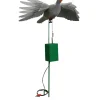 Appelant pigeon électrique à ailes battantes hauteur 82cm, longueur fil 120cm