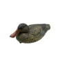 Appelant Souchet femelle HD 35 x 17cm