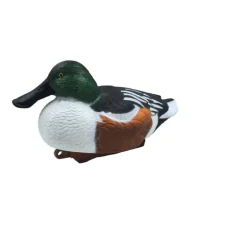 Appelant Souchet mâle HD 37 x 18cm