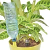 Arrosage goutte à goutte bouteille