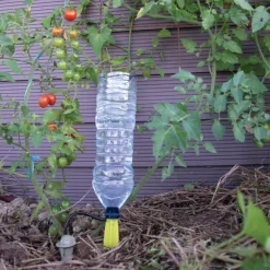 Arrosage goutte à goutte bouteille