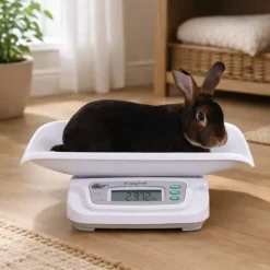 Balance à lapin 20kg