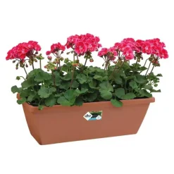Balconnière Elho® 50x16cm en plastique effet terre cuite