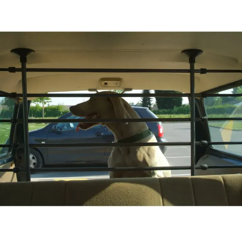 Barre pare-chien pour voiture