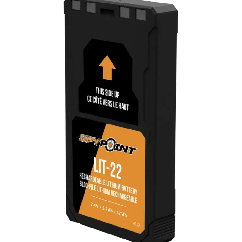 Batterie lithium Lit22 série FLEX, 7,4V - 5,7 Ah avec câble USB-C