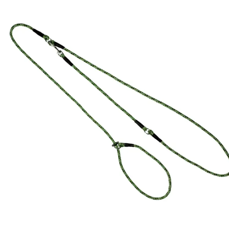 Baudrier lasso