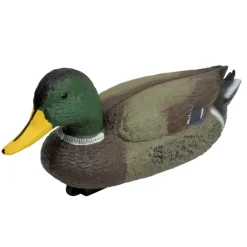 Blette de Colvert male ultra réaliste en plastique