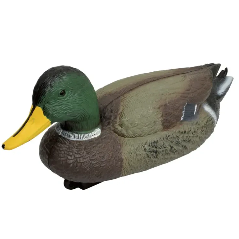 Blette de Colvert male ultra réaliste en plastique