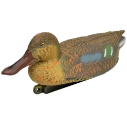 Blette de Souchet femelle réaliste