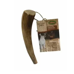 Bois de Cerf Naturel pour Chien