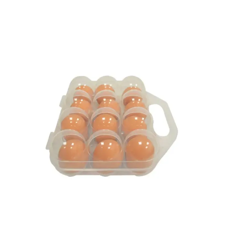 Boite à oeuf plastique 12 oeufs à l'unité