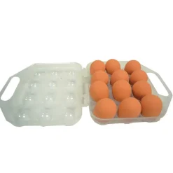 Boite à oeuf plastique 12 oeufs par lot de 3