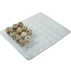 Boites à oeufs de caille plastique 18 oeufs lot de 125