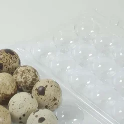 Boites à oeufs de caille plastique 18 oeufs lot de 125