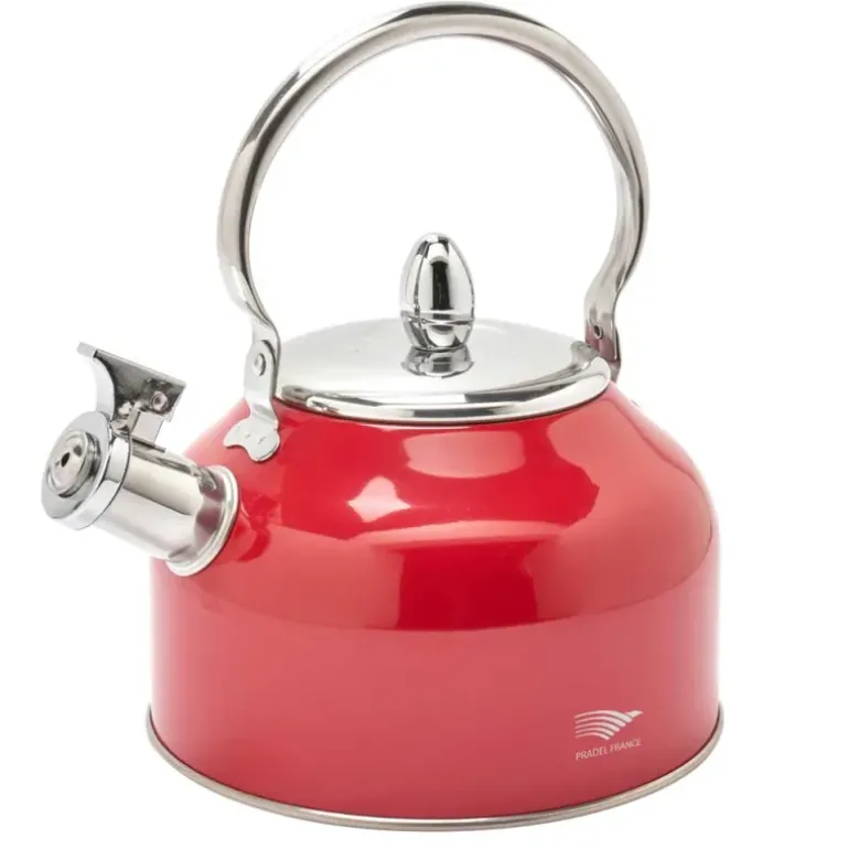 Bouilloire à sifflet 2,5L induction tous feux épaisseur 0,35mm