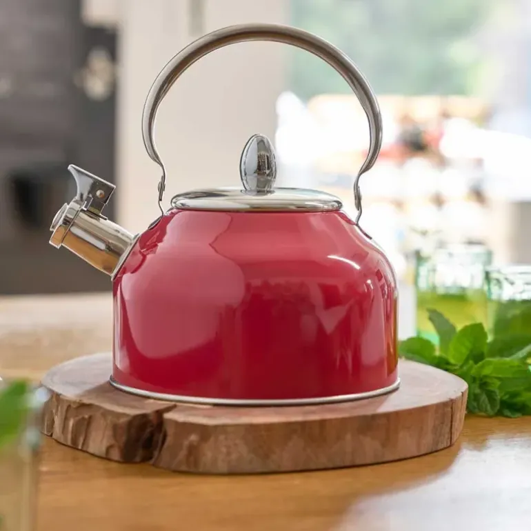 Bouilloire à sifflet 2,5L induction tous feux épaisseur 0,35mm