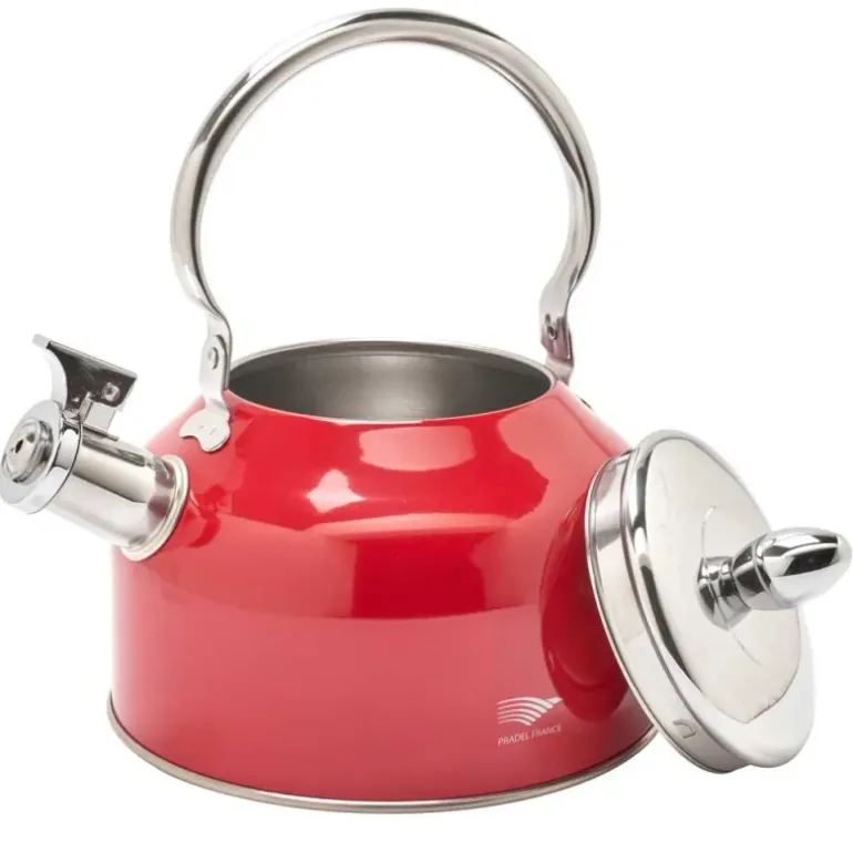 Bouilloire à sifflet 2,5L induction tous feux épaisseur 0,35mm