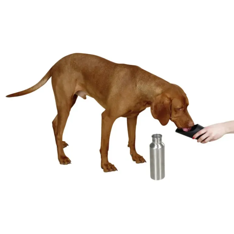 Bouteille de voyage pour chien en inox