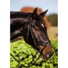 Bridon standard cuir brun shetland