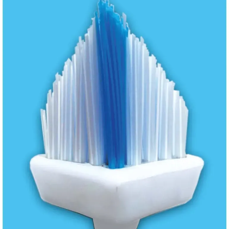 Brosse à Joints
