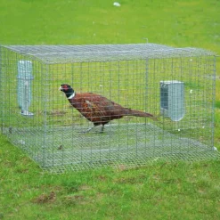 Cage de pré-lâcher galvanisée thermolaquée vert