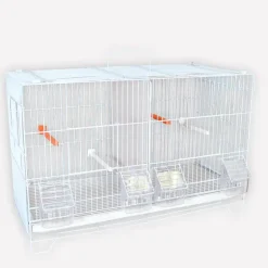 Cage d'élevage canaris