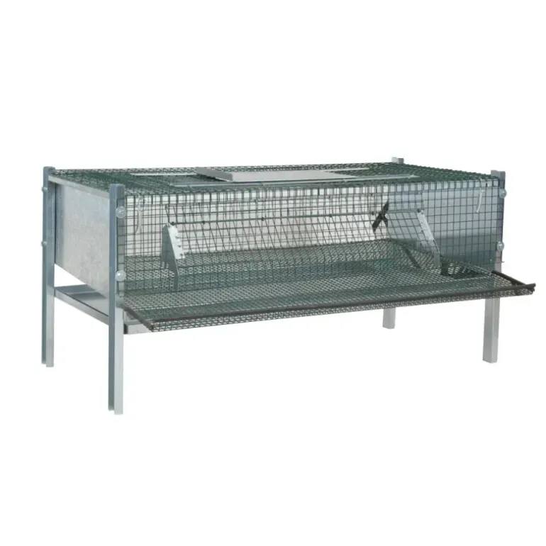 Cage en maille galvanisée pour cailles pondeuses (mini)