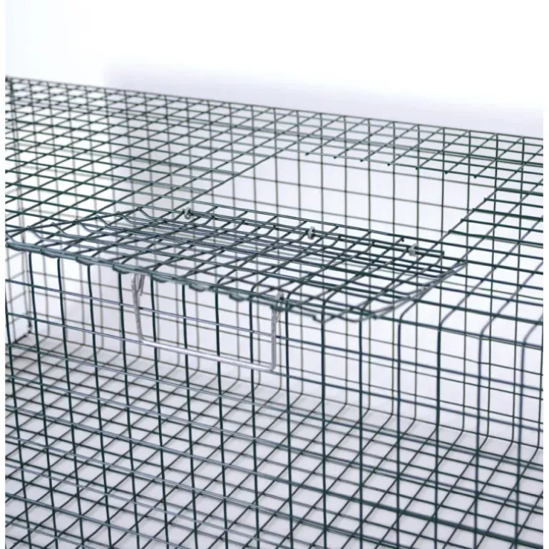 Cage piège à pigeon 100 x 40 x 30 cm
