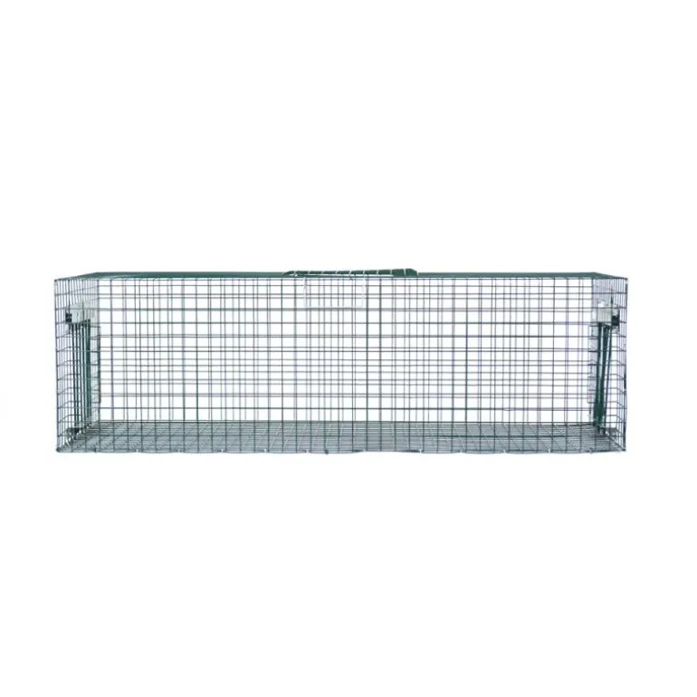 Cage piège à pigeon 100 x 40 x 30 cm